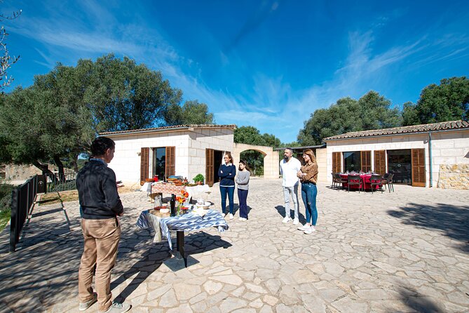 Tour to olive grove and olive mill, oil tasting and snack - Small details that can shape the day