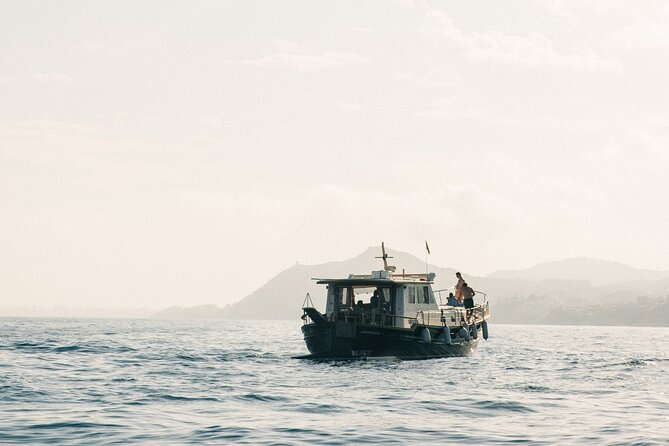 Traditional Boat Sailing Tour from Port of Palma - Is the small-group price worth it?