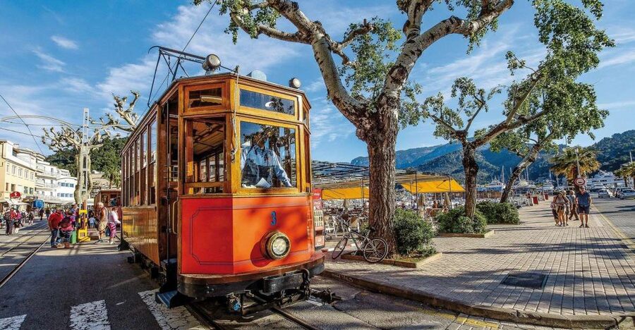 Tramuntana Panorama Tour - Soller, Deiá, Valldemossa - What the small group changes