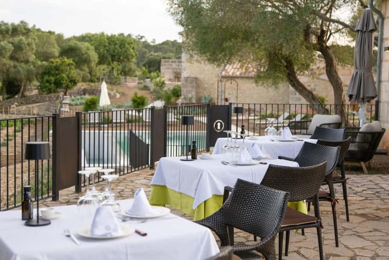 Treurer: Olive Oil Night. Gastronomic experience - Key points to know before booking
