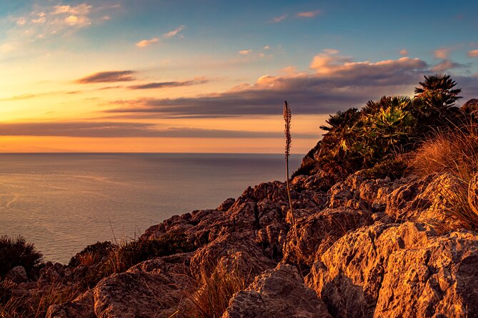 Unique V8 Trike Tour to the Tramuntana Mountains min2 max.4 Pers - Portals Nous: Mallorca’s polished side