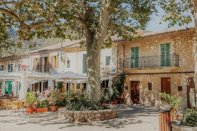 Valdemossa Half Day Tour - Key points at a glance