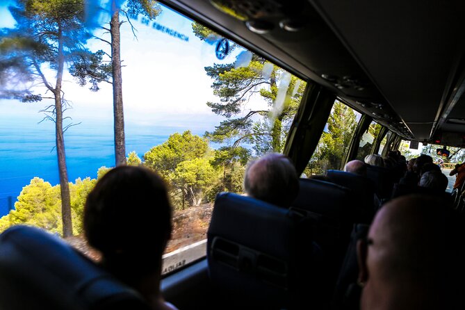 Valldemosa and Valley of Soller Tour in Mallorca - Guides, drivers, and the pace of the day