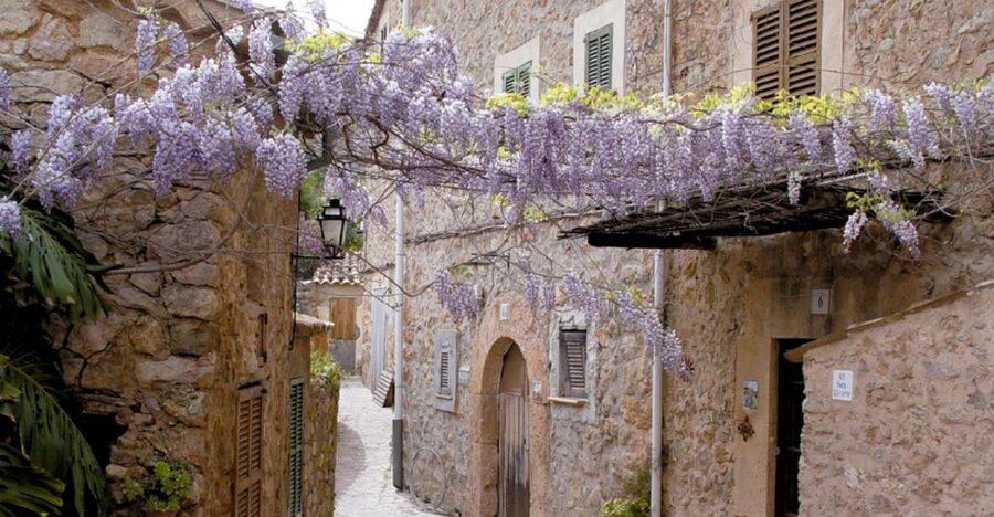 Valldemossa: Discover Valldemossa with a transfer from Palma - Meeting at Parc de la Mar