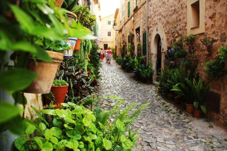 Valldemossa: Discover Valldemossa with a transfer from Palma - Timing, Languages, and Flexible Booking