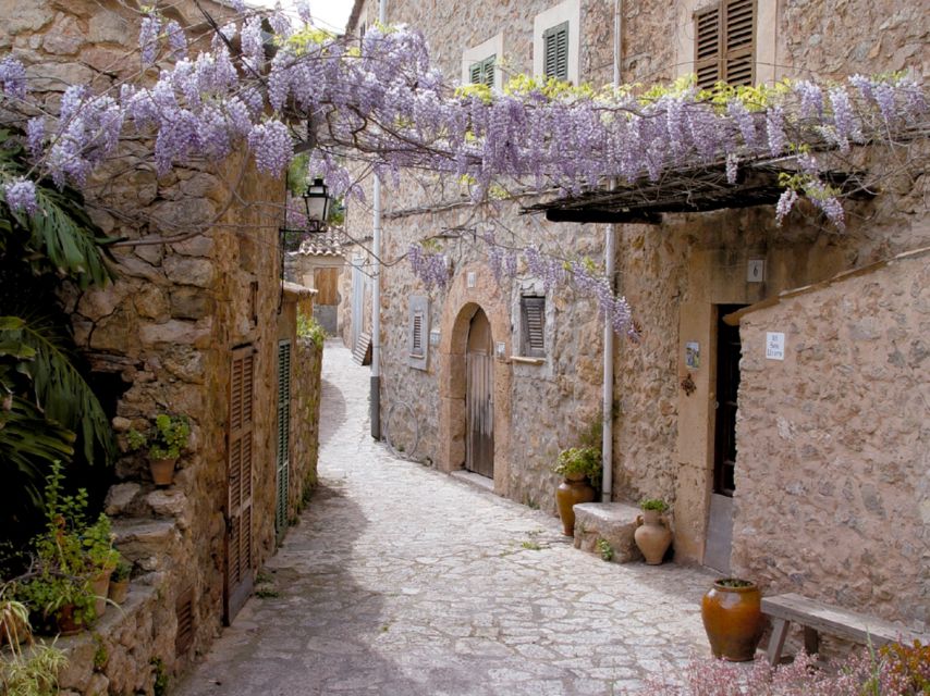 Valldemossa: Discover Valldemossa with a transfer from Palma - The Panoramic Bus Ride into the Tramuntana