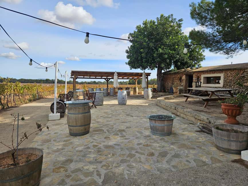 VISIT BODEGAS BORDOY ,DEGUSTACION 5 WINES, FINGER FOOD - Key points to know before booking