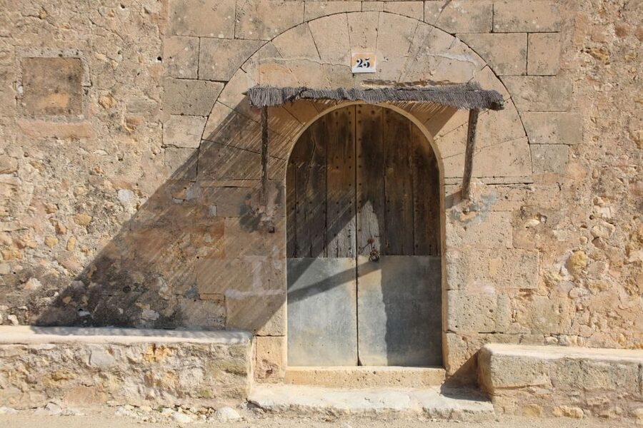 Visit of the olive grove, olive oil tasting and snack - My take: book it for the lesson, not only the oil