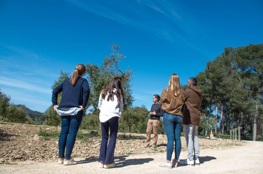 Visit of the olive grove, olive oil tasting and snack - A 30-minute snack with local products and wine