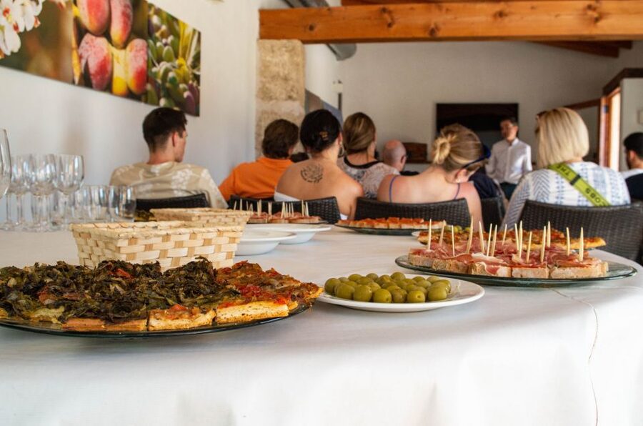Visit of the olive grove, olive oil tasting and snack - Who will enjoy this visit most?