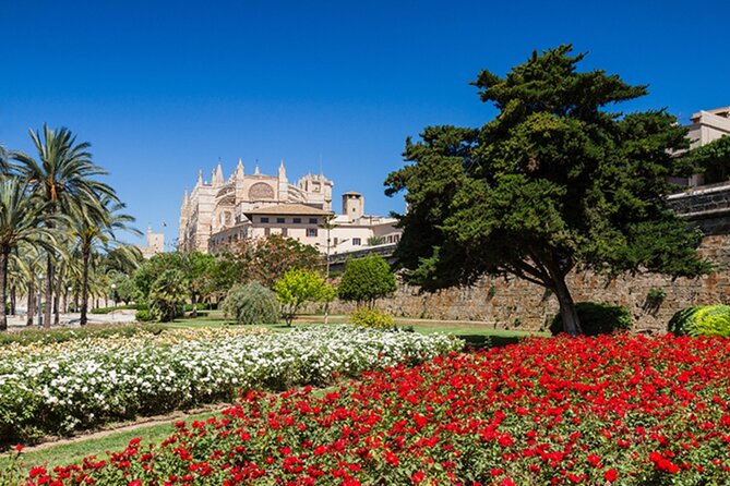 Visit Palma and Valldemossa - Key points to know before booking