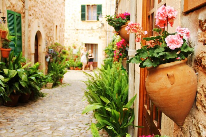 Visit Palma and Valldemossa - Communication, group size, and guide quality
