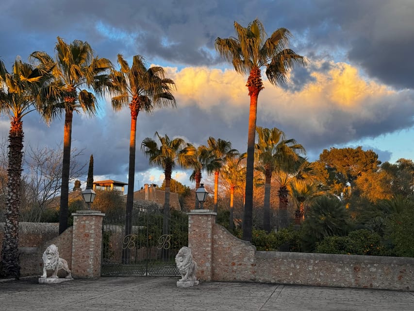 Weinsonntag auf Mallorca - The first white wine and the slow start