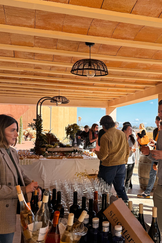 Weinsonntag auf Mallorca - Four wines, from white to red